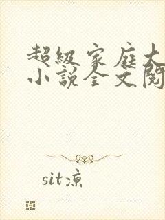 超级家庭大杂烩小说全文阅读