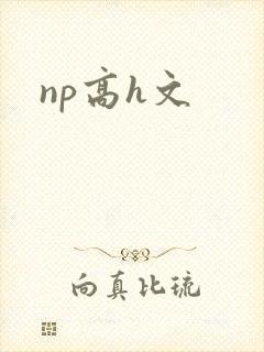 np高h文