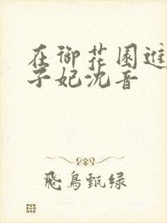 在御花园进入太子妃沈音