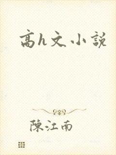 高h文小说