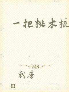 一把桃木梳封面