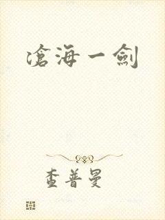 沧海一剑封面
