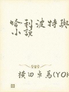 哈利波特与密室小说