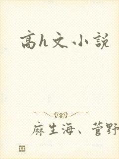 高h文小说