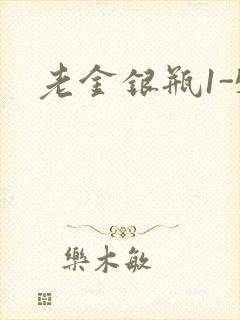 老金银瓶1-5