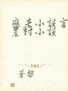 恋老小说言情网农村小说封面