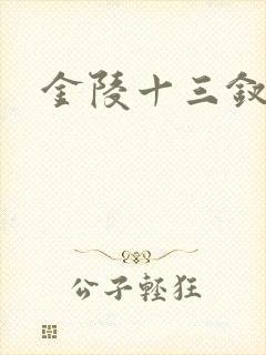 金陵十三钗原著