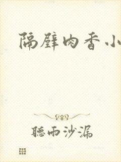 隔壁肉香小说