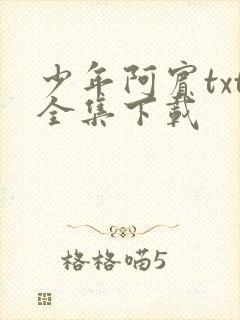 少年阿宾txt全集下载