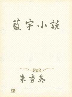 蓝宇小说