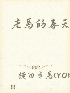 老马的春天敏静