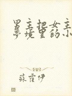 男主把女主拖进梦境里的小说