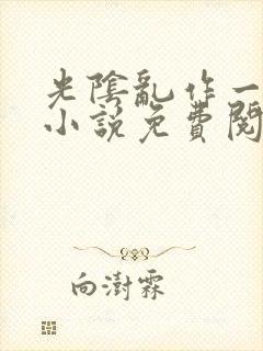 光阴乱作一团的小说免费阅读