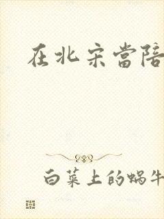 在北宋当陪房