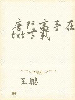 唐门高手在异世txt下载封面