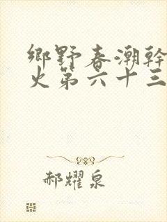 乡野春潮干柴烈火第六十三章