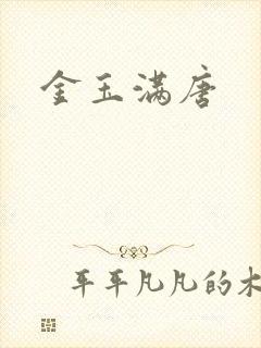 金玉满唐封面