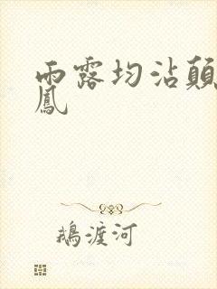 《雨露均沾颠鸾倒凤》小说封面