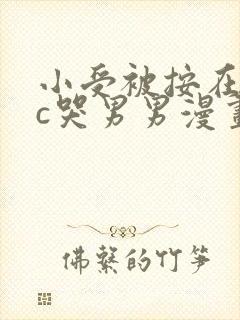 小受被按在墙上c哭男男漫画