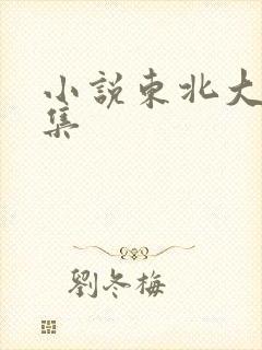 小说东北大炕全集