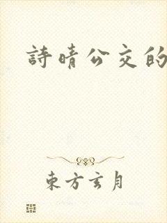 诗晴公交的小说