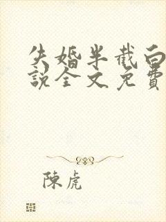 失婚半截白菜小说全文免费阅读