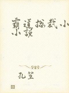 霸道总裁小娇妻小说