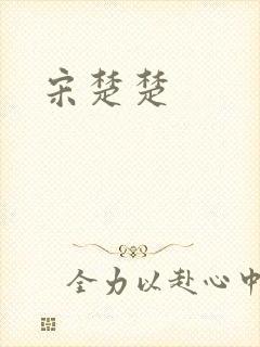 宋楚楚
