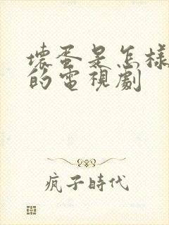 坏蛋是怎样炼成的电视剧