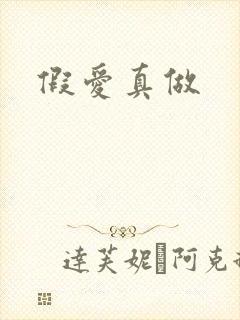 假爱真做