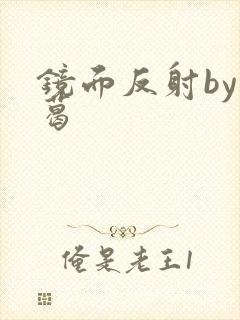 镜面反射by九葛