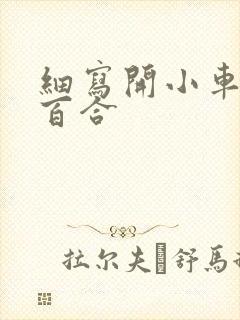 细写开小车车的百合