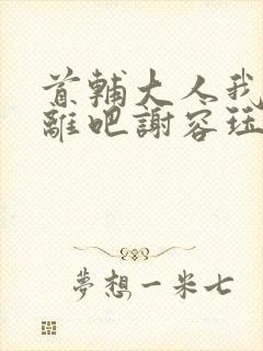 首辅大人我们和离吧谢容珏