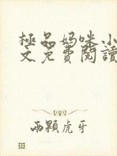 极品妈咪小说全文免费阅读