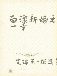白洁新婚之夜第一章