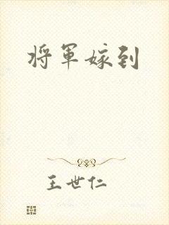 将军嫁到