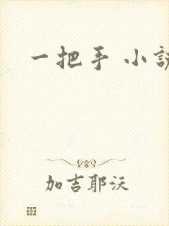 一把手 小说