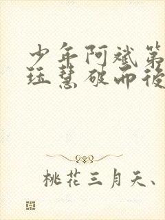 少年阿斌第二部珏慧破而后立