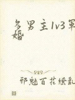 多男主1v3军婚