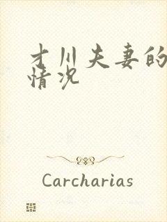 才川夫妻的恋爱情况