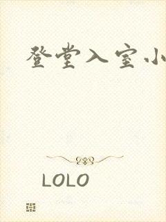 登堂入室小说