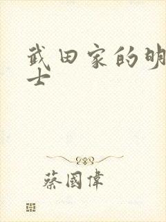 武田家的明国武士