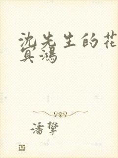 沈先生的花式调冥鸿