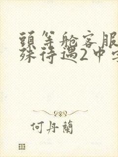 头等舱客服的特殊待遇2中字