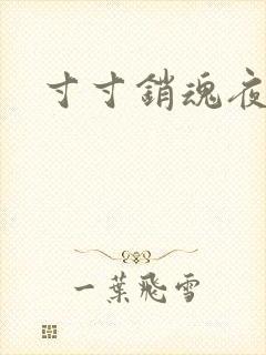 寸寸销魂夜春光