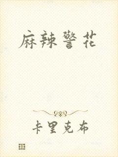 麻辣警花