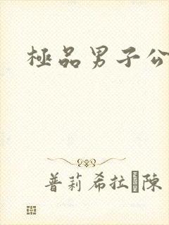 极品男子公寓封面