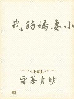 我的娇妻小说