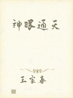 神眼通天封面