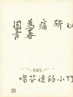 因为痛 所以叫青春